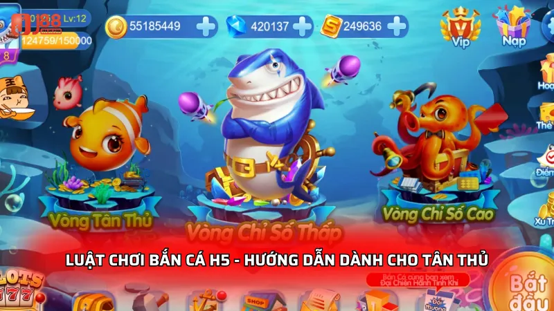Luật chơi Bắn Cá H5 - Hướng dẫn dành cho tân thủ