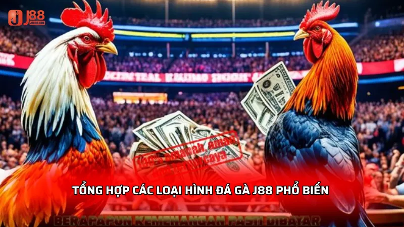 Tổng hợp các loại hình đá gà J88 phổ biến và hấp dẫn