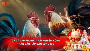Đá gà Campuchia: Trải nghiệm cũng trận đấu hấp dẫn cùng J88
