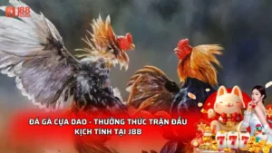 Đá Gà Cựa Dao - Thưởng Thức Trận Đấu Kịch Tính Tại J88