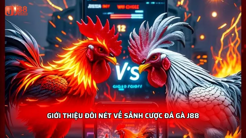 Giới thiệu đôi nét về sảnh cược đá gà J88