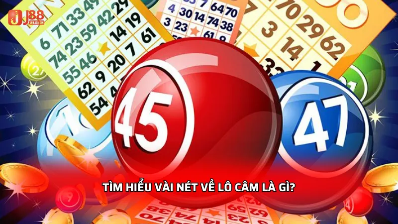 Tìm hiểu vài nét về lô câm là gì?